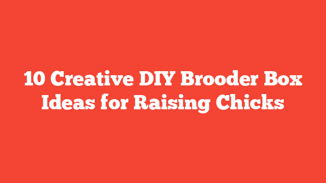 10 Creative DIY Brooder Box Ideas for Raising Chicks