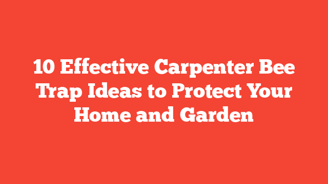 10 Effective Carpenter Bee Trap Ideas to Protect Your Home and Garden